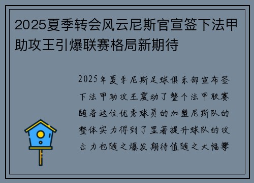 2025夏季转会风云尼斯官宣签下法甲助攻王引爆联赛格局新期待